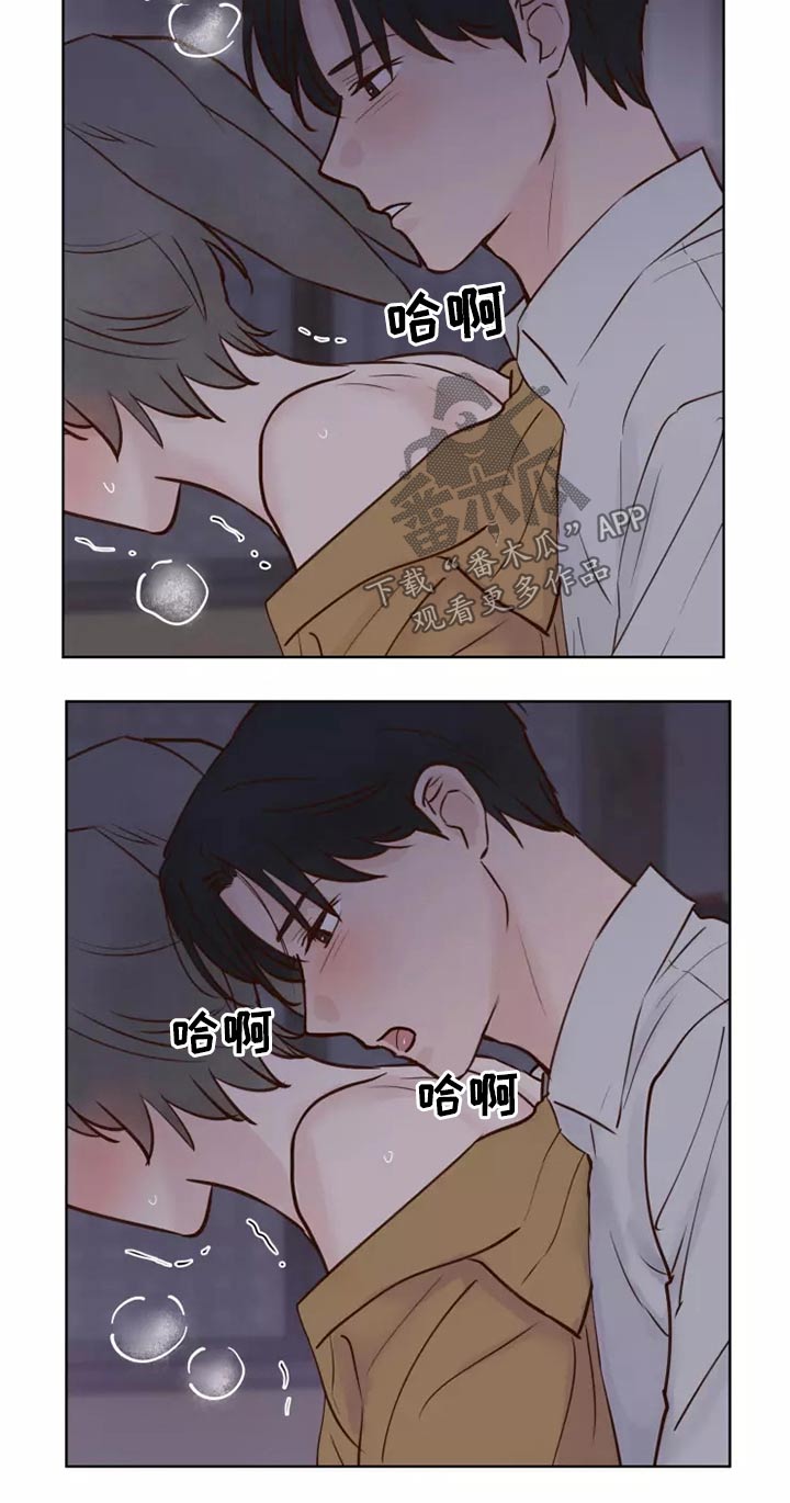 龟兔同行漫画,第46章：协议3图
