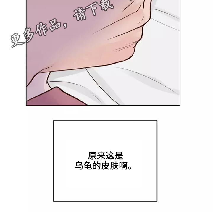 龟兔同行的图片漫画,第51章：有什么理由1图