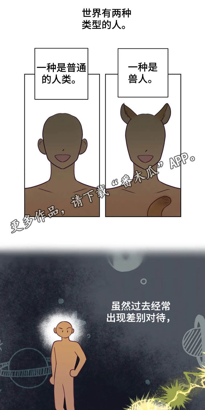 龟兔同行漫画,第18章：特别大使1图