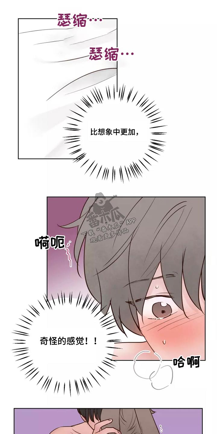 龟兔的意思是什么漫画,第43章：耳朵1图