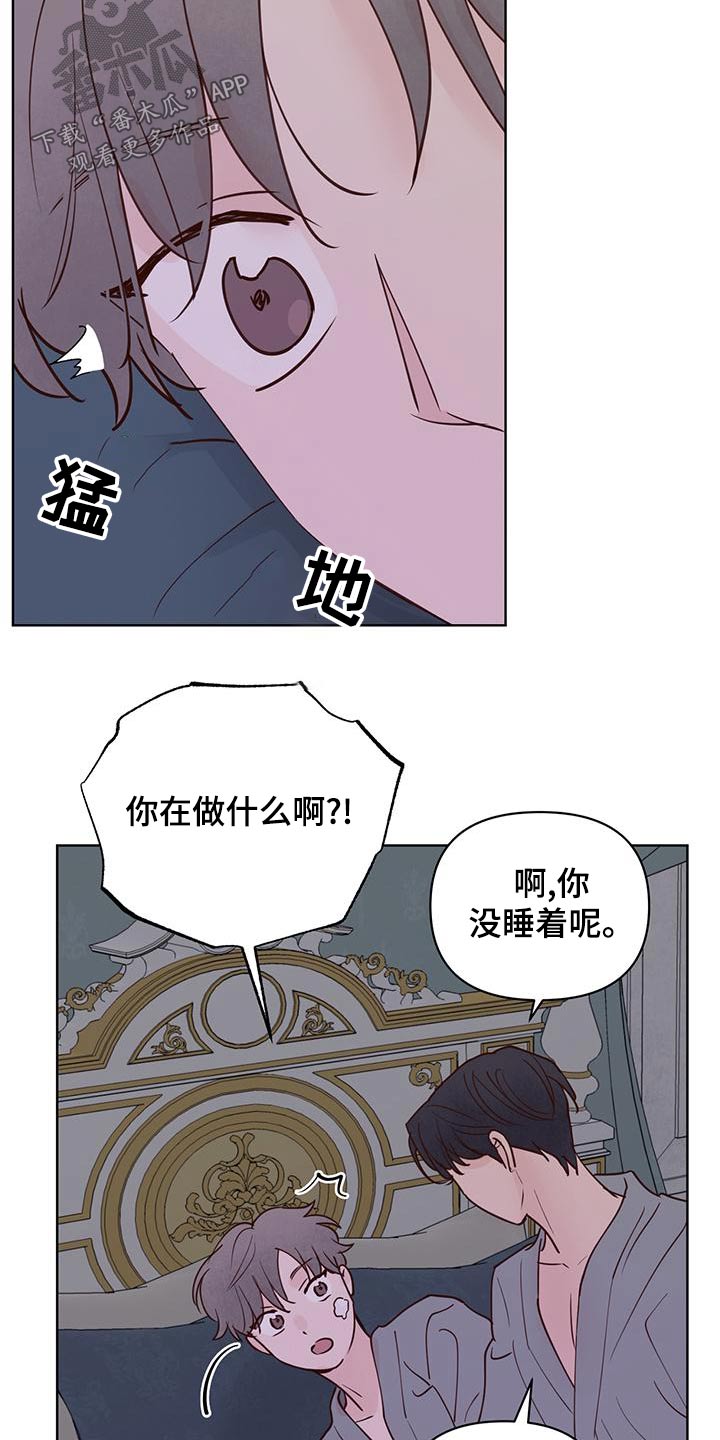 龟兔赛跑真实版漫画,第74章：蛋糕2图
