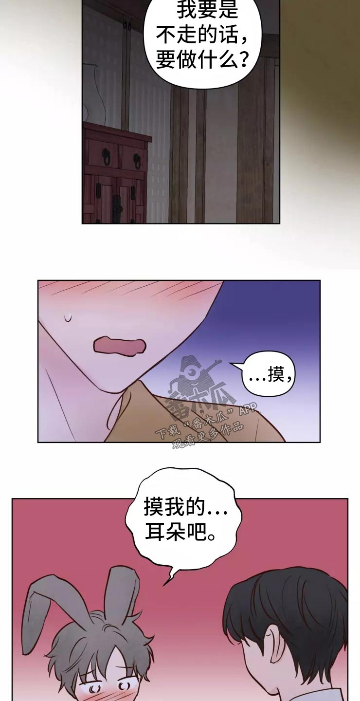 龟兔同行漫画,第45章：走之前4图