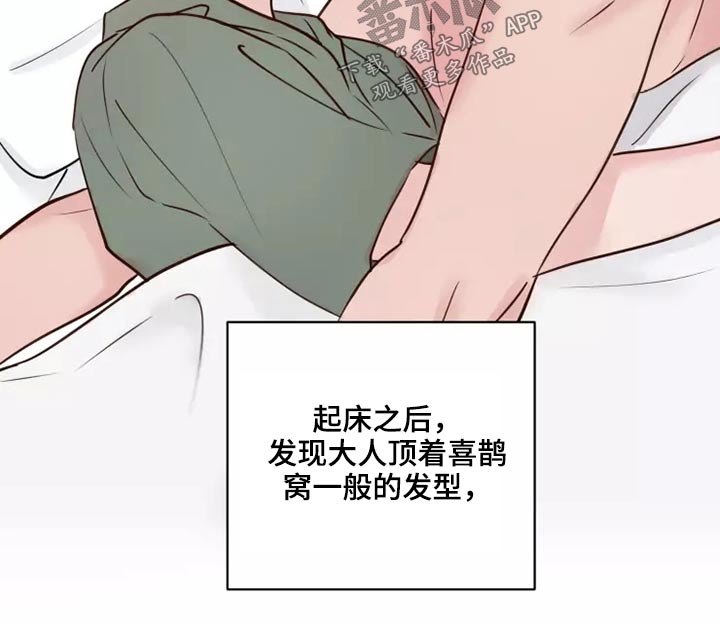 龟兔同行漫画,第53章：处理2图