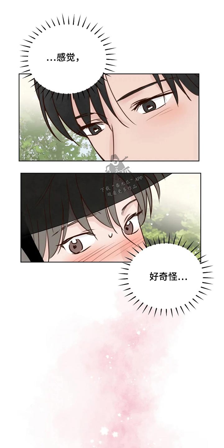 龟兔同行漫画,第31章：怎么办3图