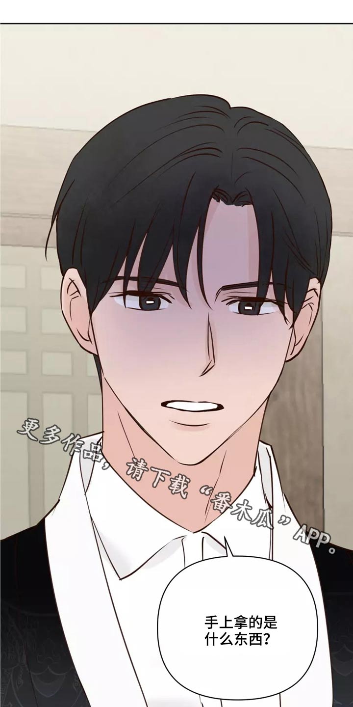 龟兔同行漫画,第50章：协议袋子1图