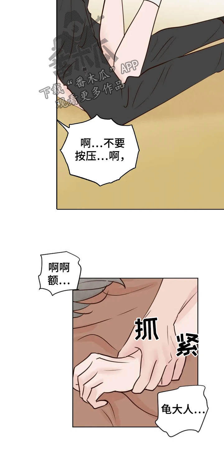 龟兔同笼题目漫画,第19章：任重道远4图
