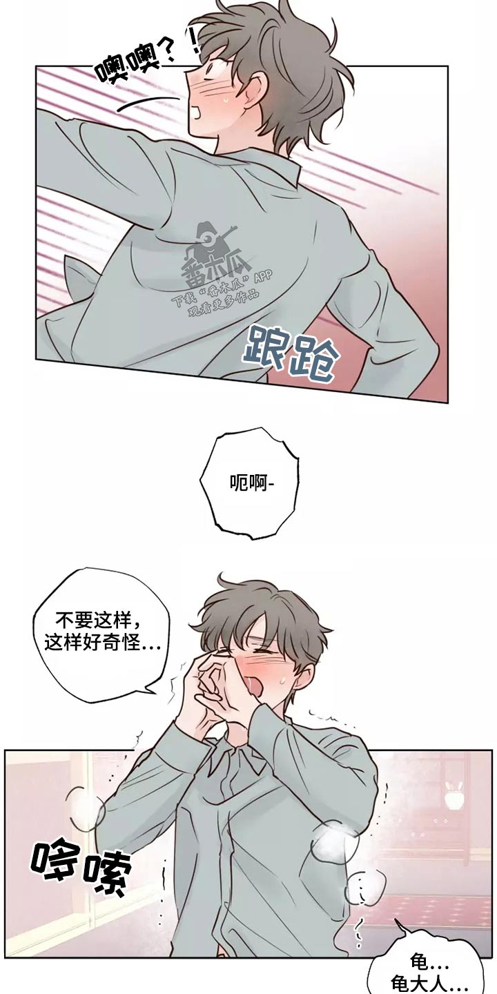 龟兔的意思是什么漫画,第42章：愿意5图