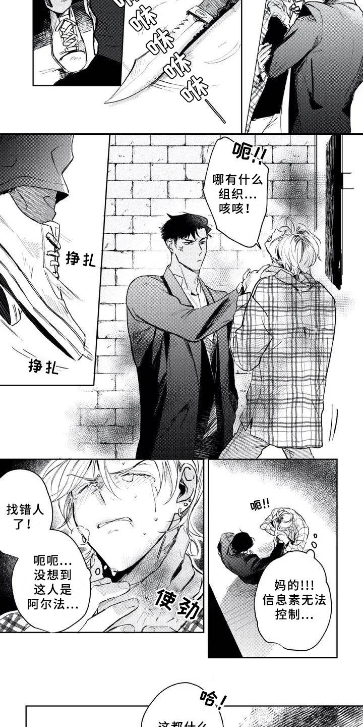 朋克宝贝漫画,第2章：逼问3图