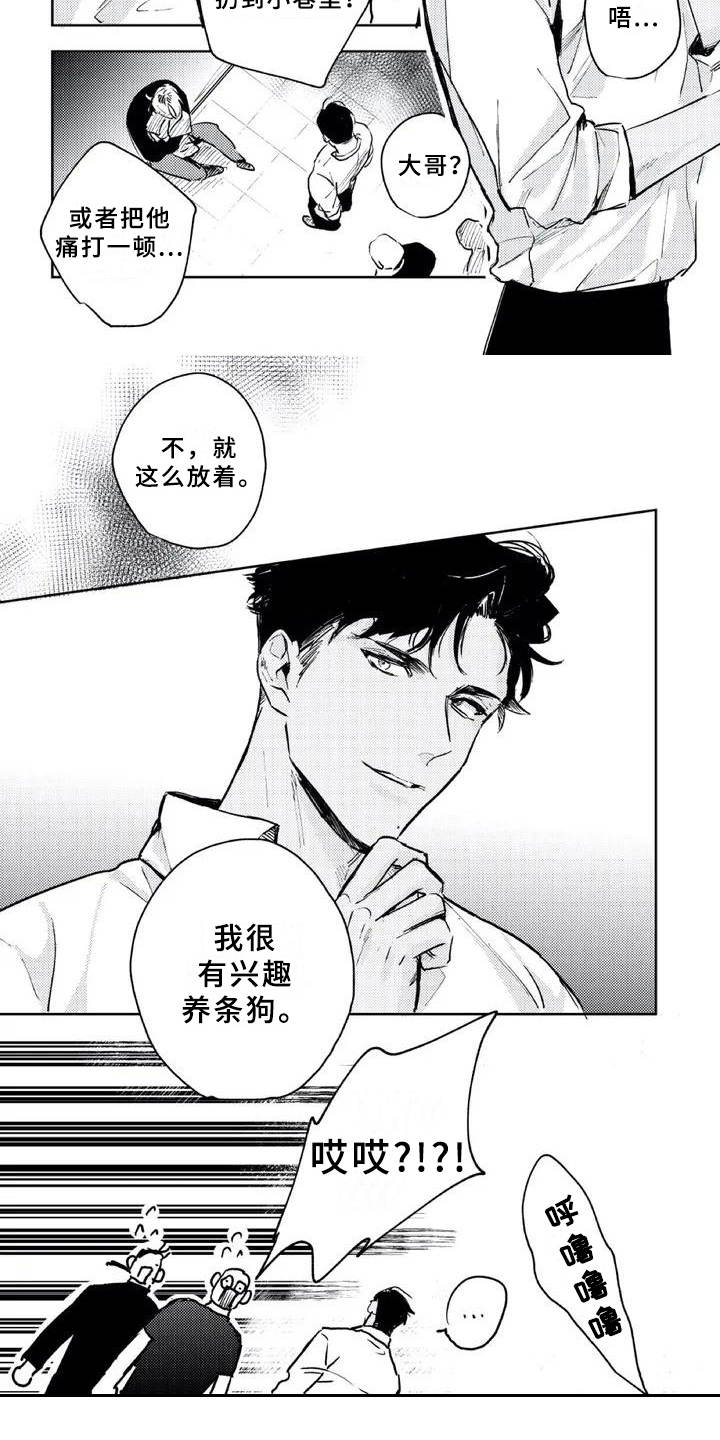 朋克宝贝漫画,第3章：收留3图