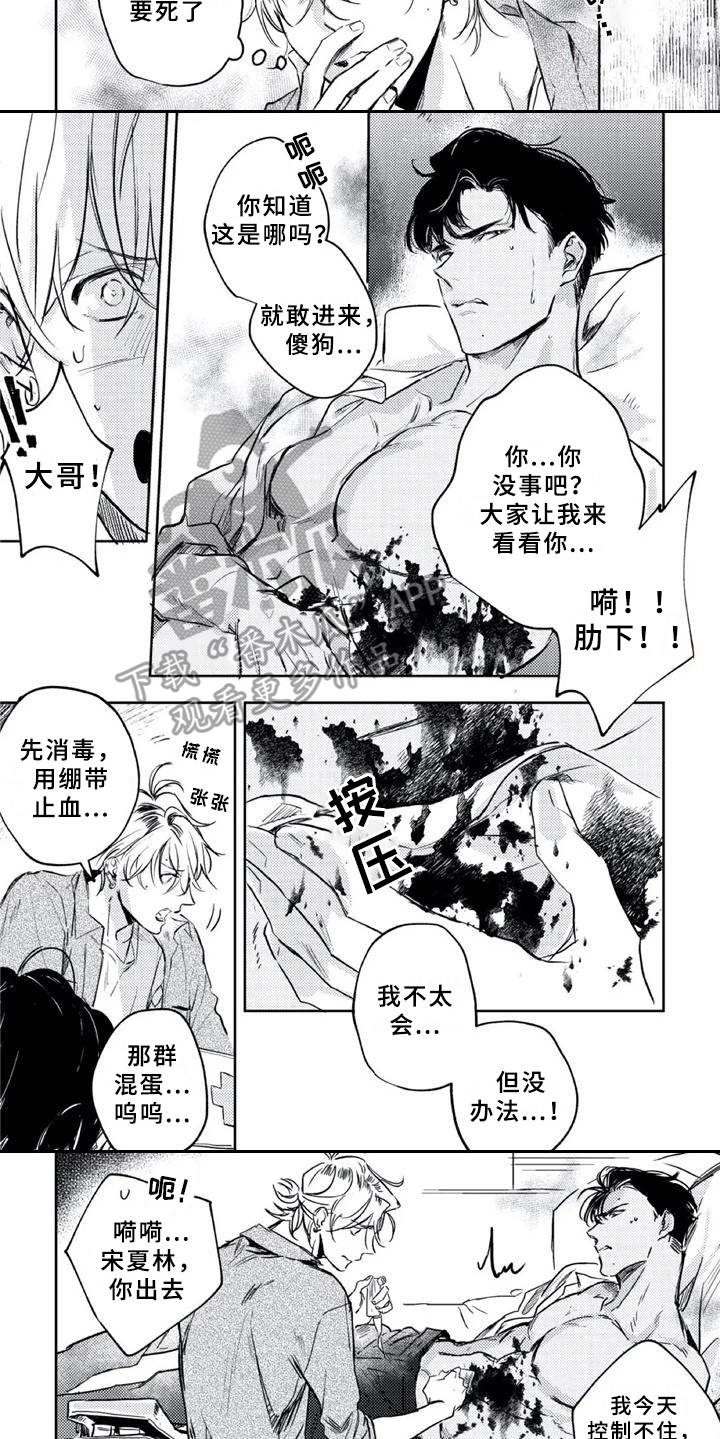 朋克孩子漫画,第6章：疗伤1图