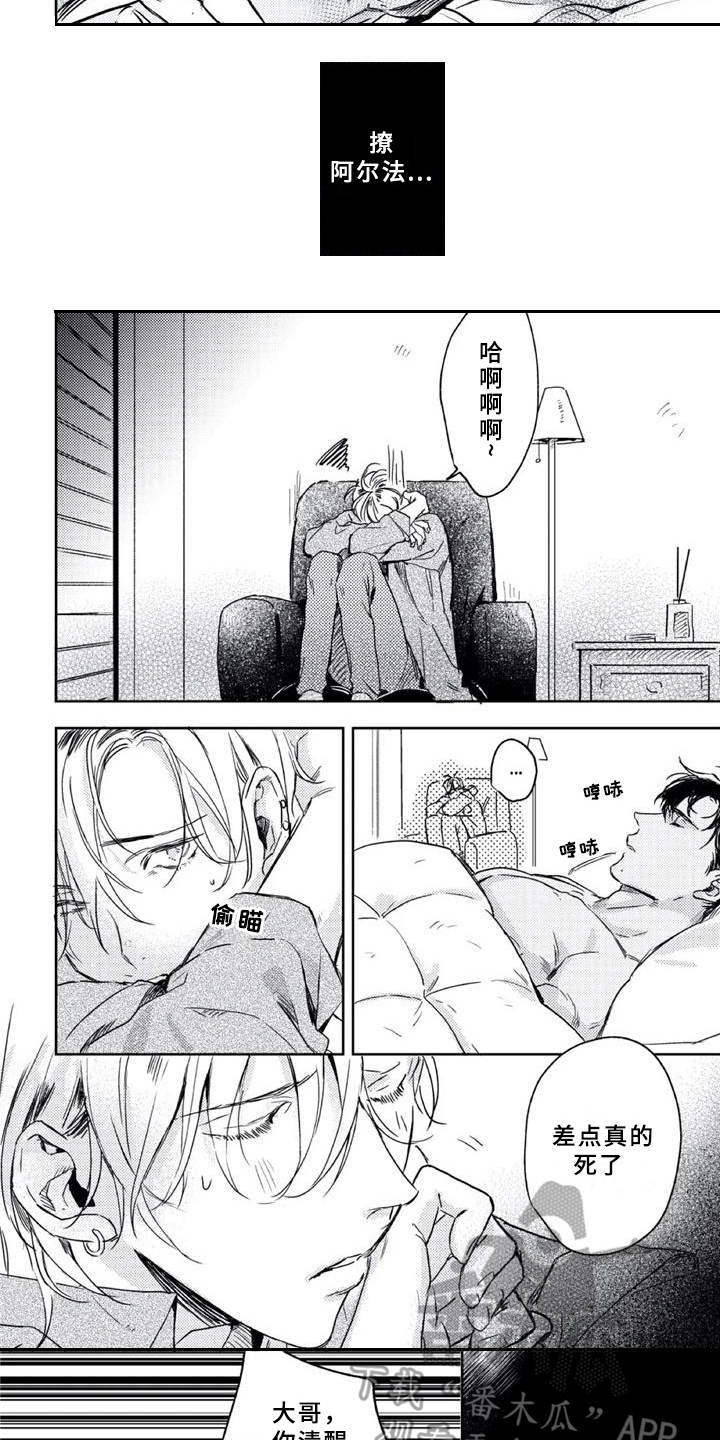 朋克宝贝漫画,第7章：神志不清3图