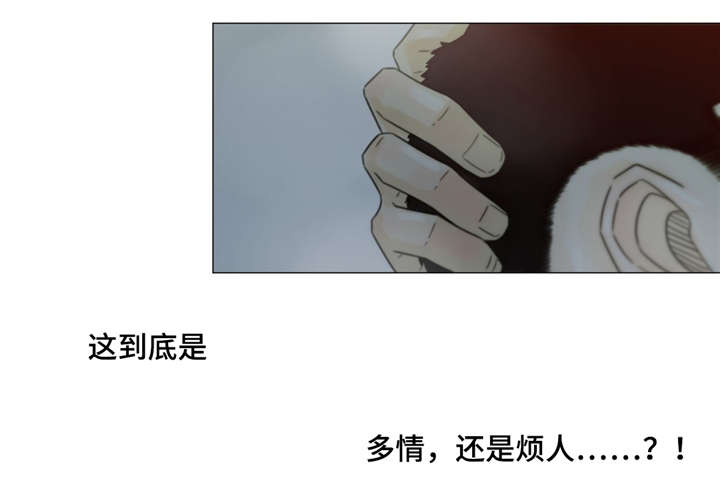 逃亡旅txt漫画,第39章：房东2图
