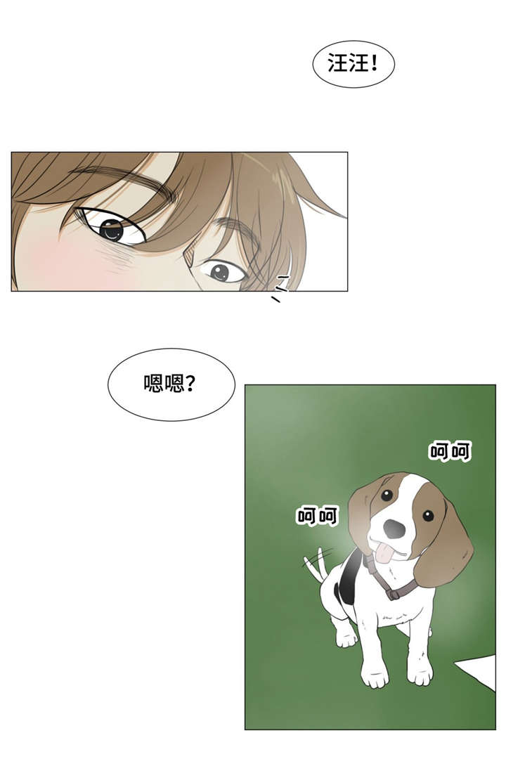 逃亡兔子漫画,第17章：警车声4图