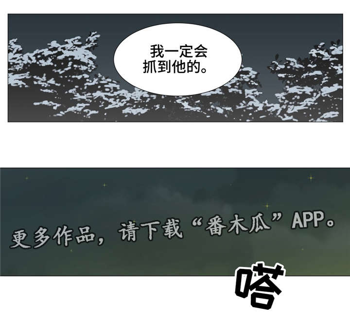 逃亡旅txt漫画,第12章：我一定会抓到他的2图