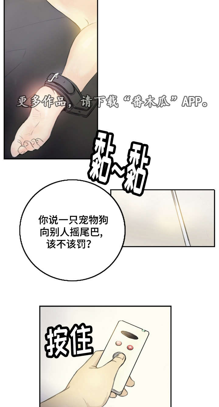 探星漫画,第27章：会杀死你4图