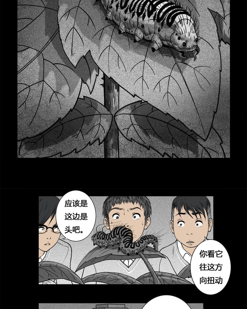 西陵学院灵异短篇集漫画,第3章：虫女(一)5图