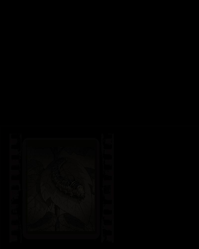 西陵学院灵异短篇集漫画,第54章：完结4图