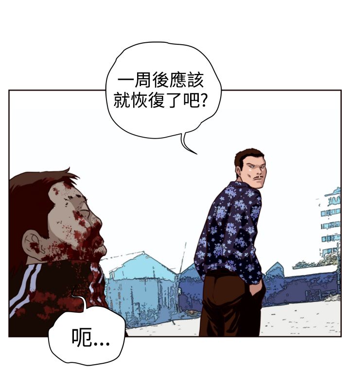 流氓苍蝇漫画,第8章：挑衅2图