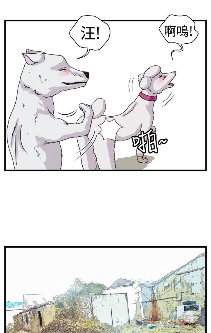 痞子英雄陈琳被西堂包围完整版漫画,第5章：职业赌徒4图