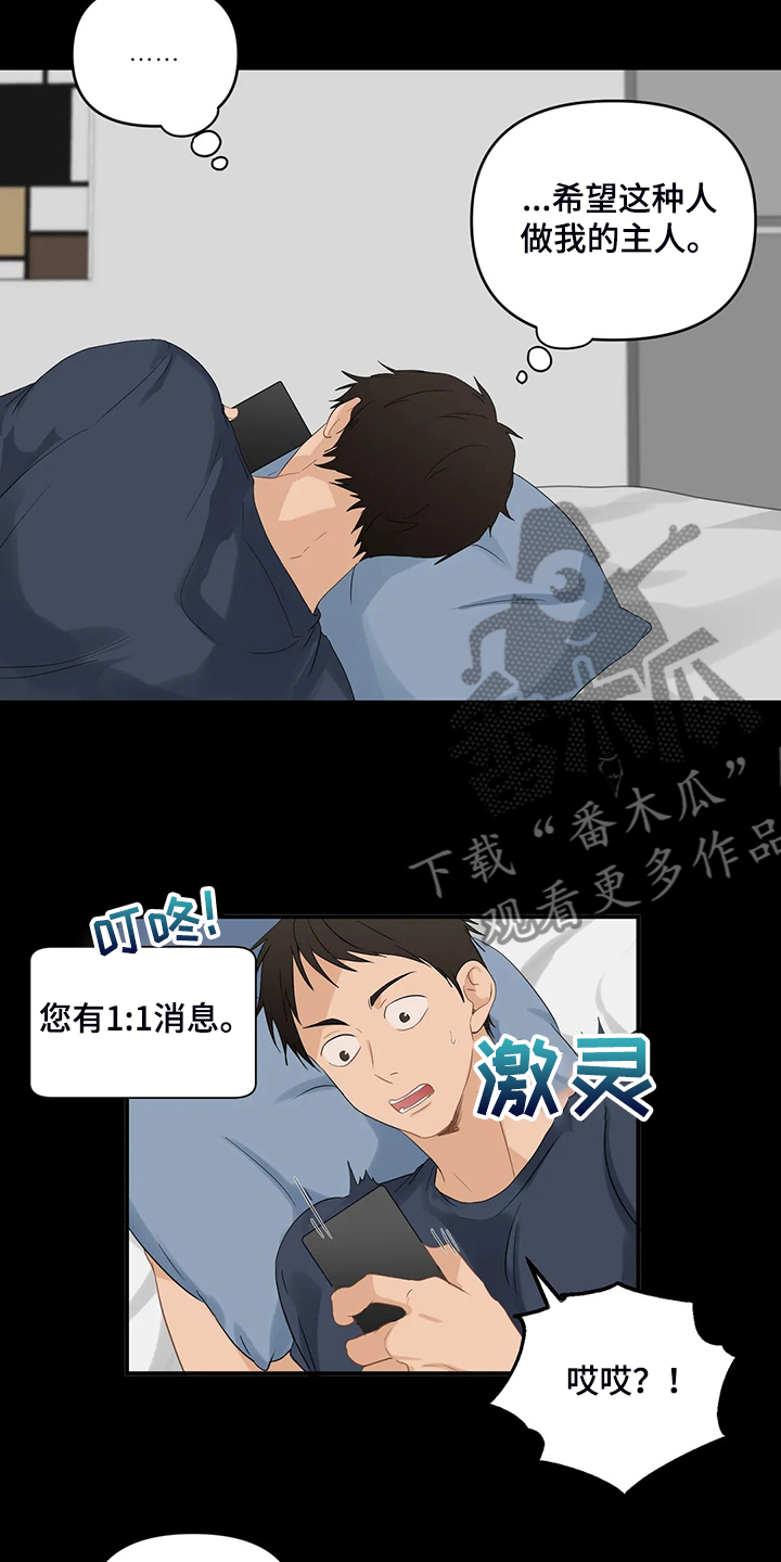 关注点高的人物漫画,第78章：【第二季】今日任务2图