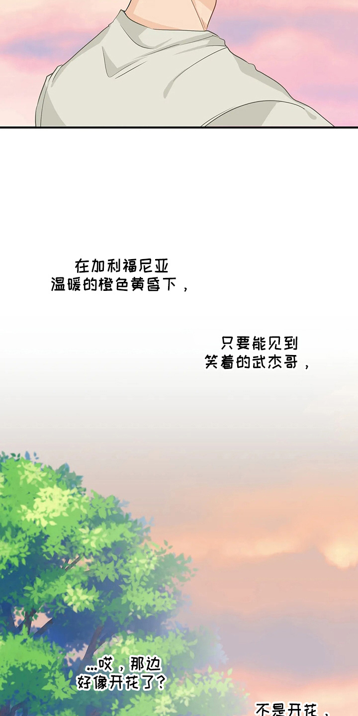 现代医学的关注点漫画,第108章：【第二季完结】很幸福1图