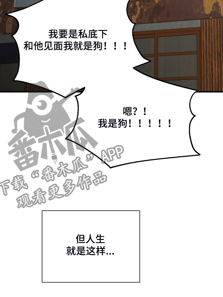 关注点赞转发收藏的英语漫画,第91章：【第二季】借酒消愁5图
