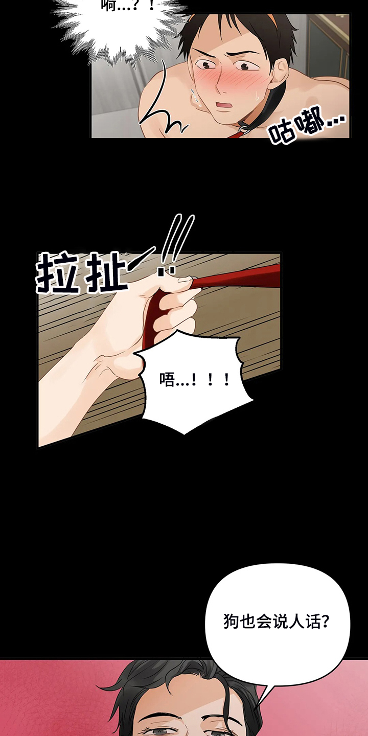 关注点赞转发收藏的英语漫画,第79章：【第二季】现实遇见主人2图