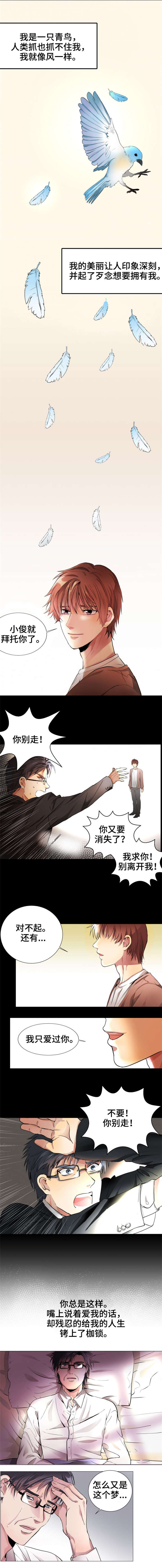 纯爱传承漫画,第1章：青鸟1图
