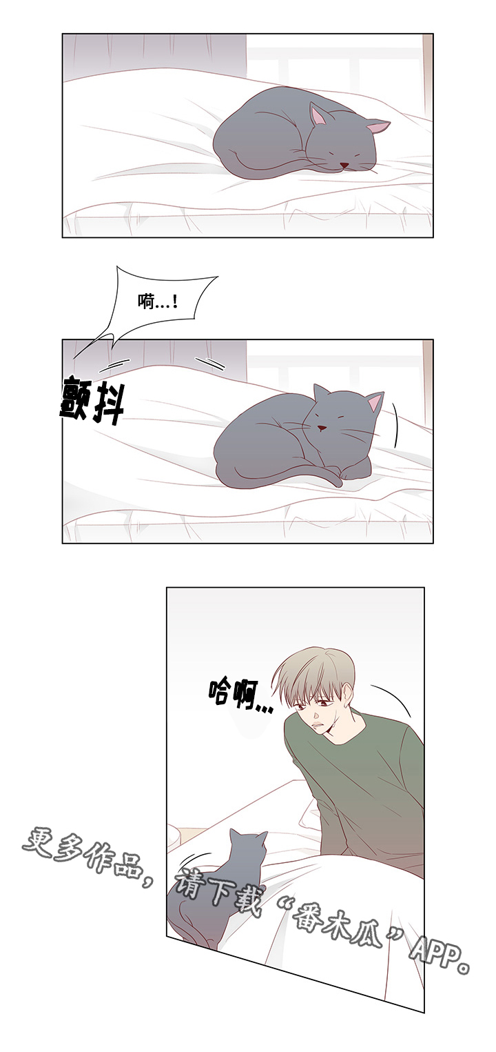 小说最终赢家漫画,第24章：尾随3图