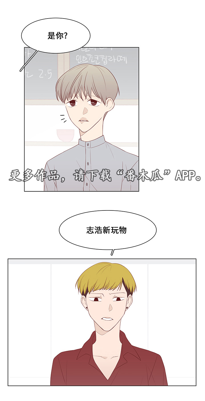 终局赢家漫画,第40章：前任2图