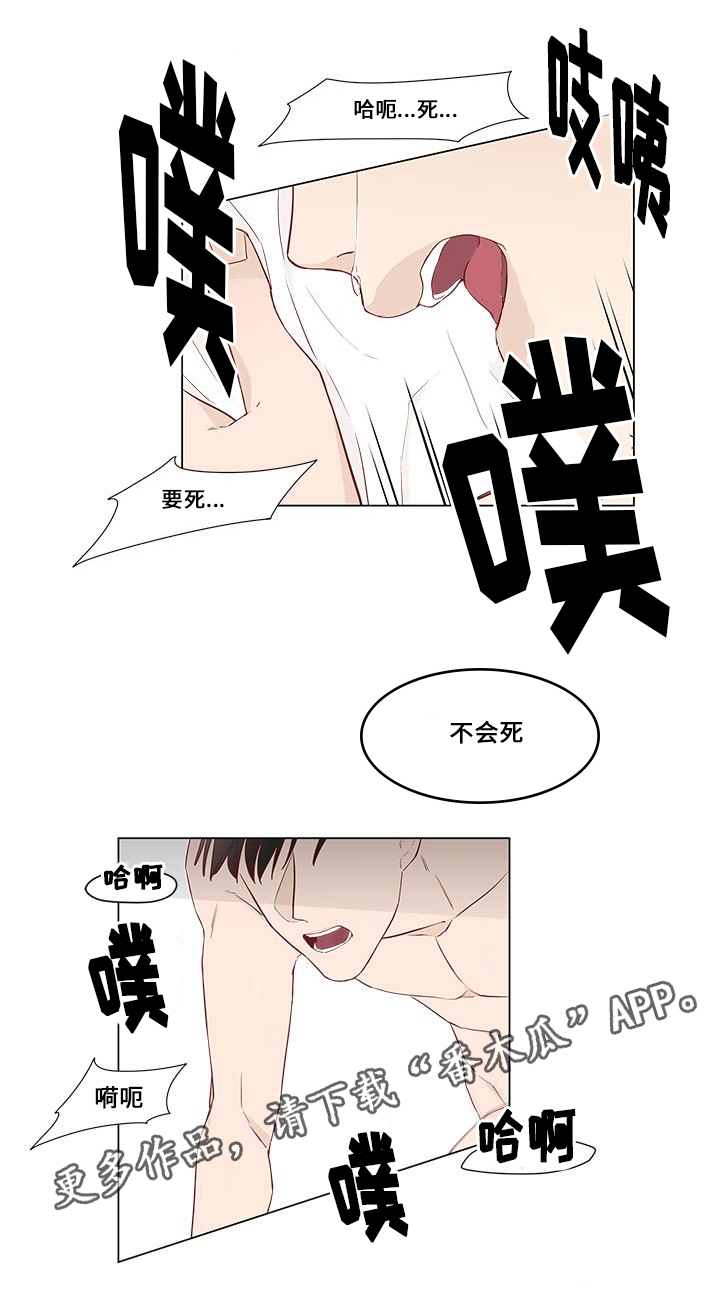 终局赢家漫画,第18章：医院检查4图
