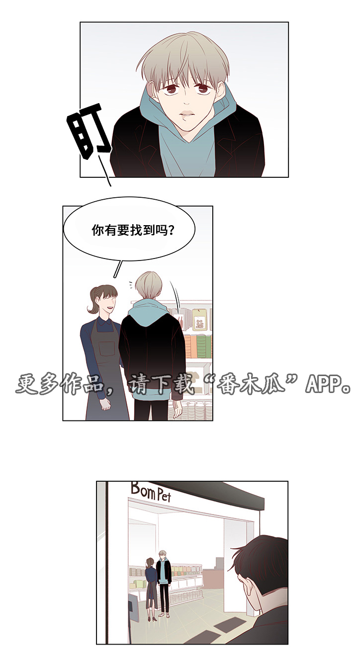 小说最终赢家漫画,第24章：尾随1图