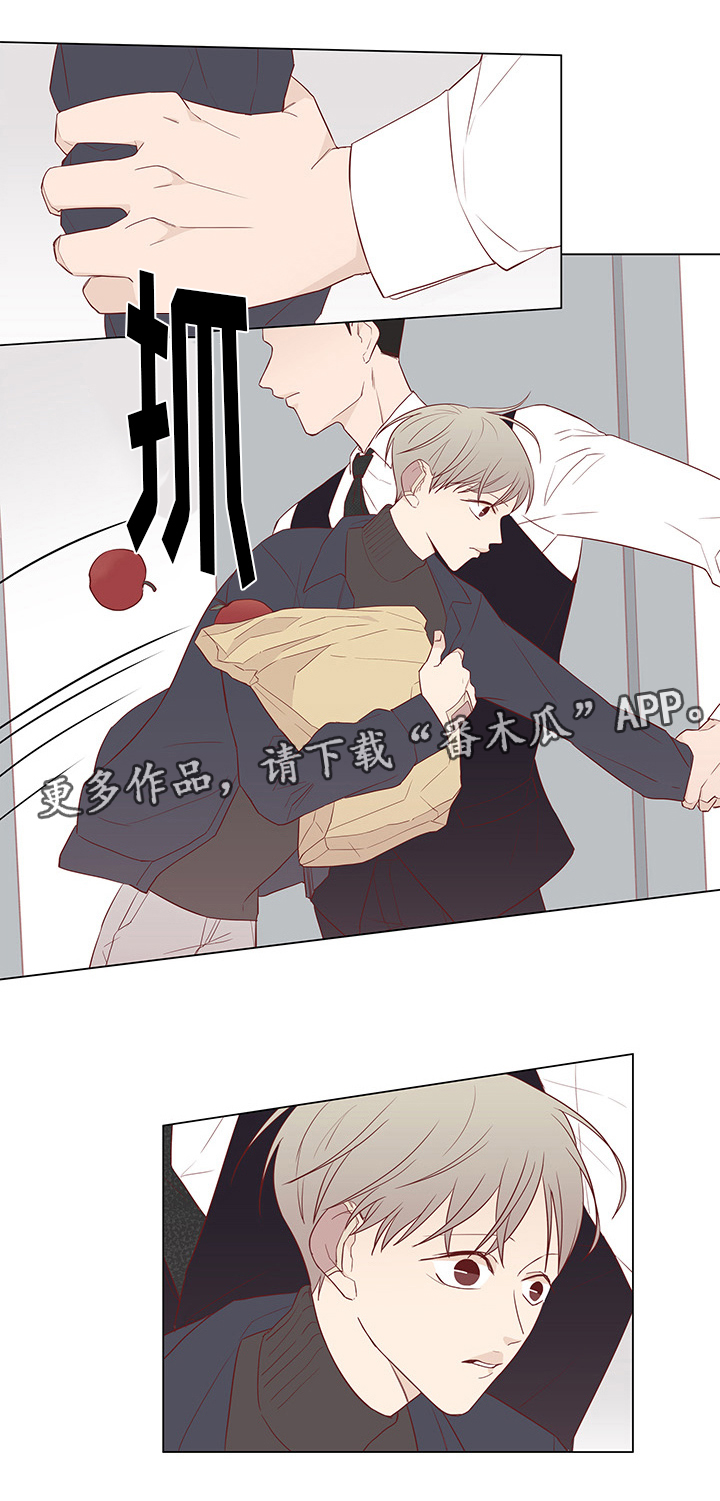 终局赢家漫画,第27章：刺杀2图