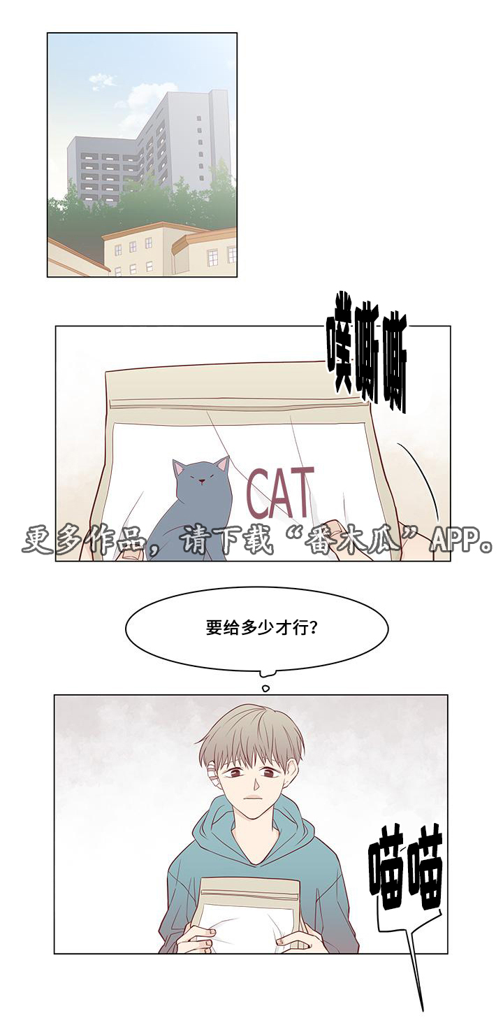 小说最终赢家漫画,第13章：偶遇4图