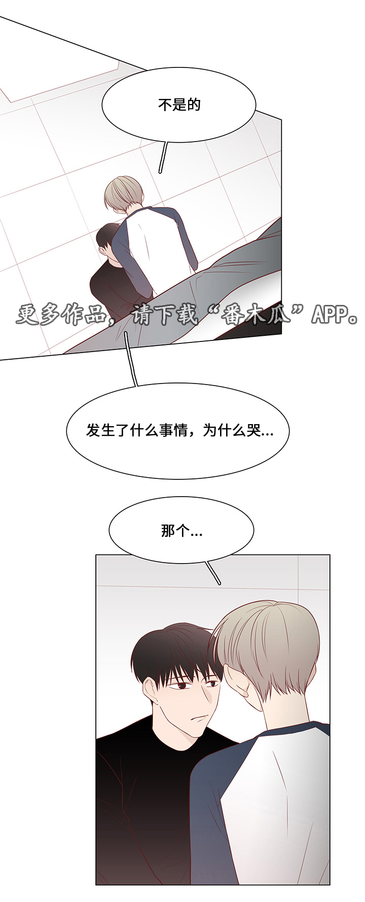 终局赢家漫画,第37章：祝你幸福4图