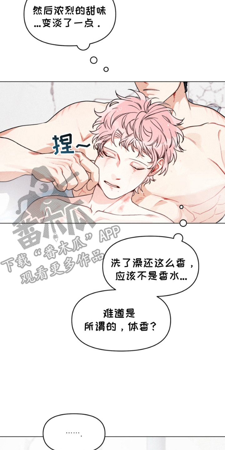 私人定制漫画,第3章：香味2图