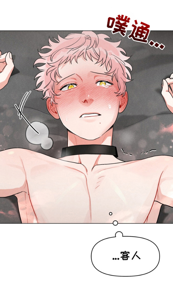 私人定制地精scrap拆废机怎么获取漫画,第7章：再次选择2图