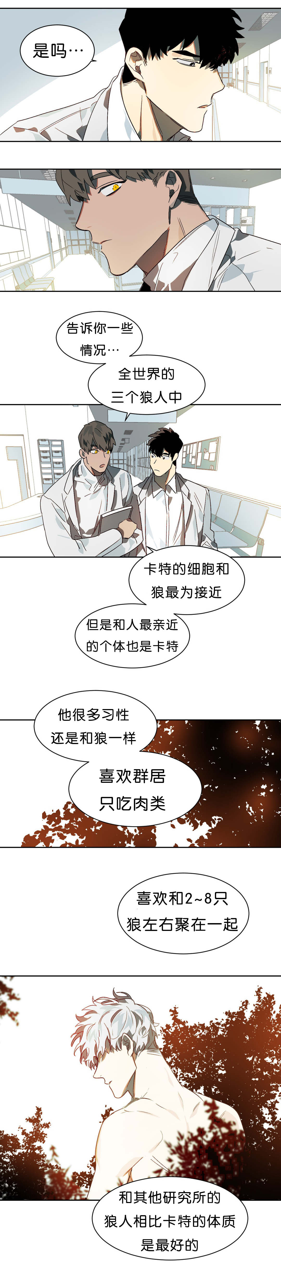 狼人卡特漫画,第11章：续杯概念3图