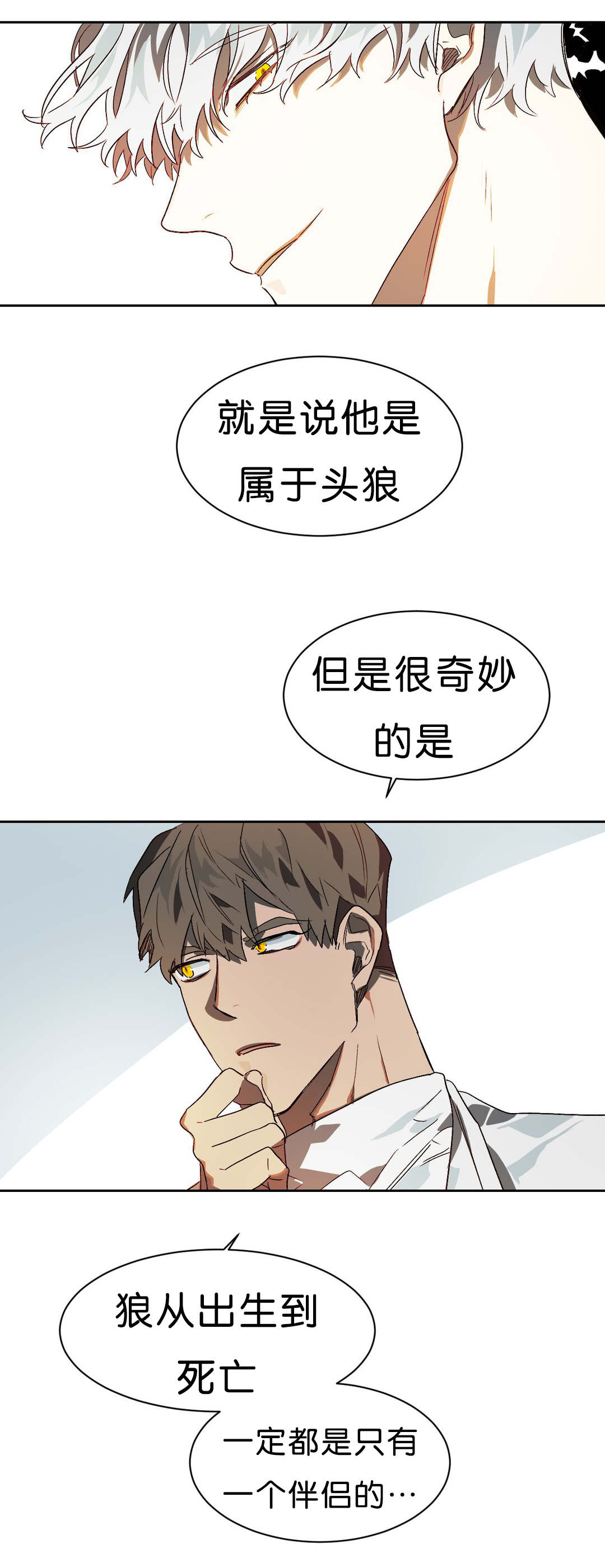 狼人卡特漫画,第11章：续杯概念4图