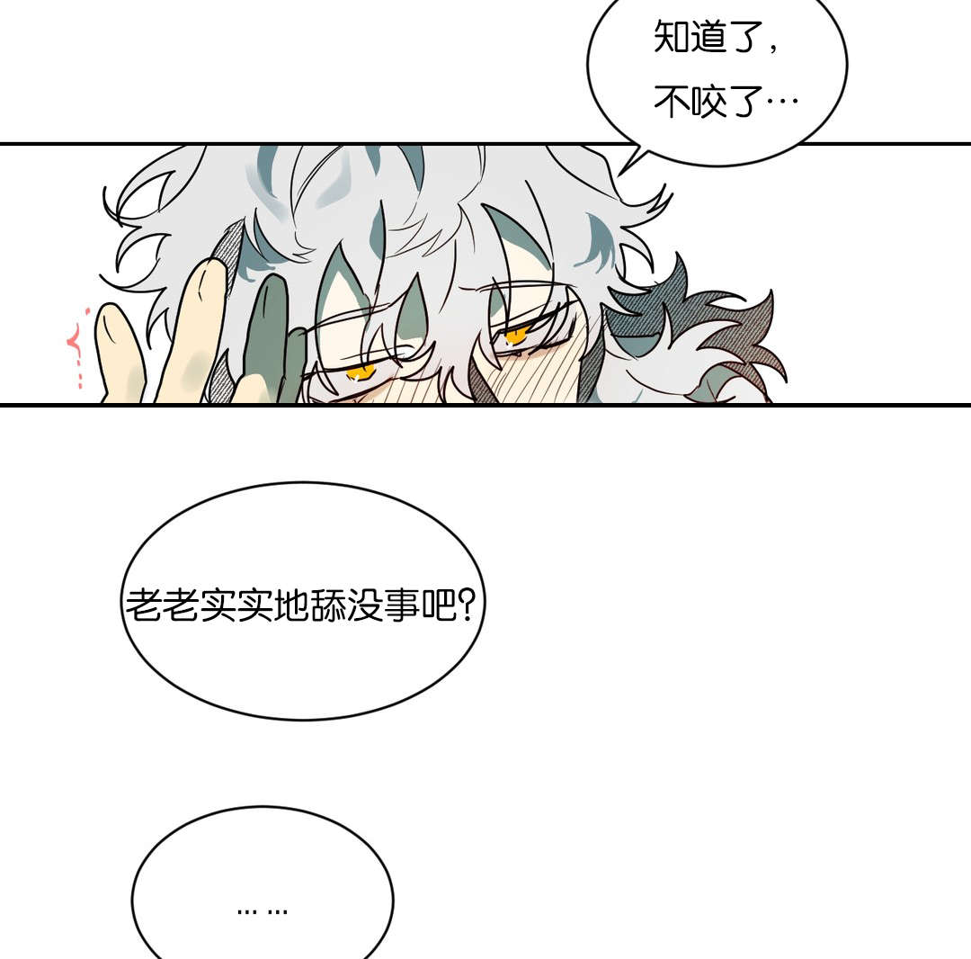狼人卡特漫画,第59章：不要咬3图