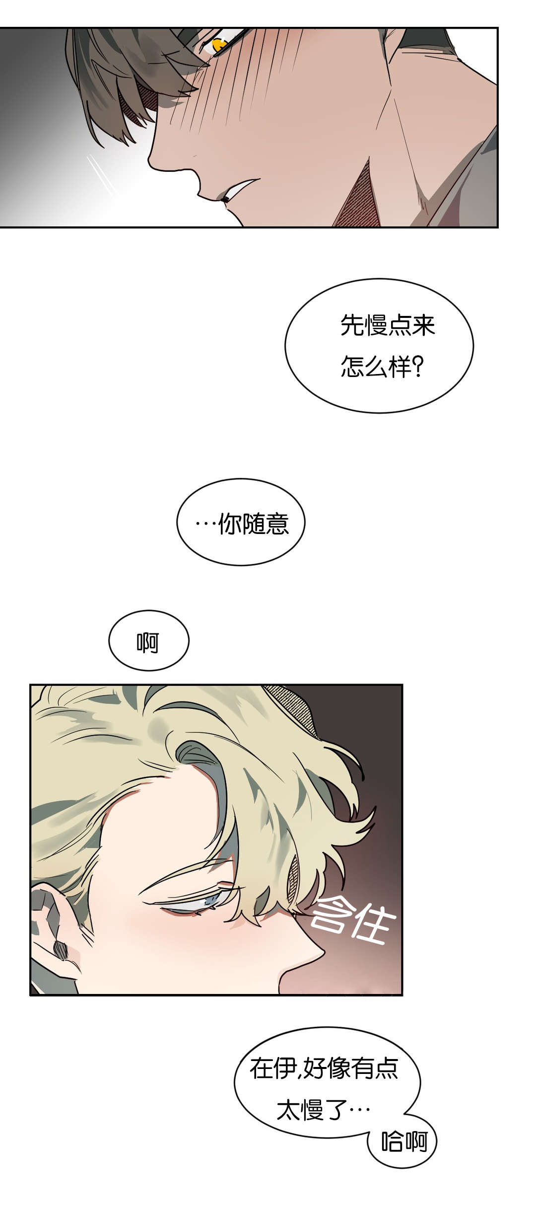 狼人卡特漫画,第52章：你准备怎么做3图