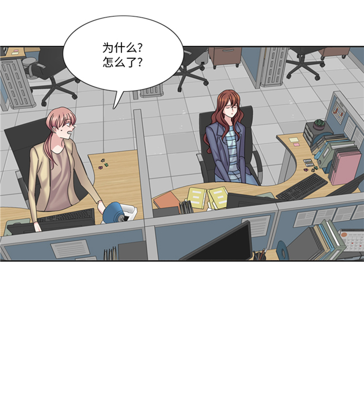 我想有个家c调吉他谱带前奏漫画,第93章：彩礼难道不要了？2图