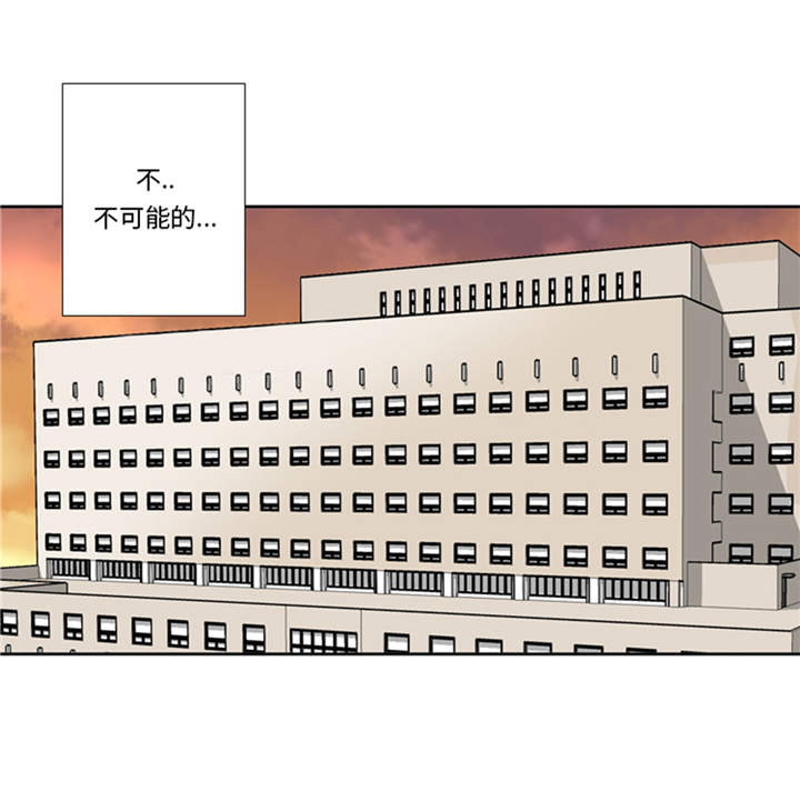 我想有个家c调吉他谱带前奏漫画,第41章：订婚5图