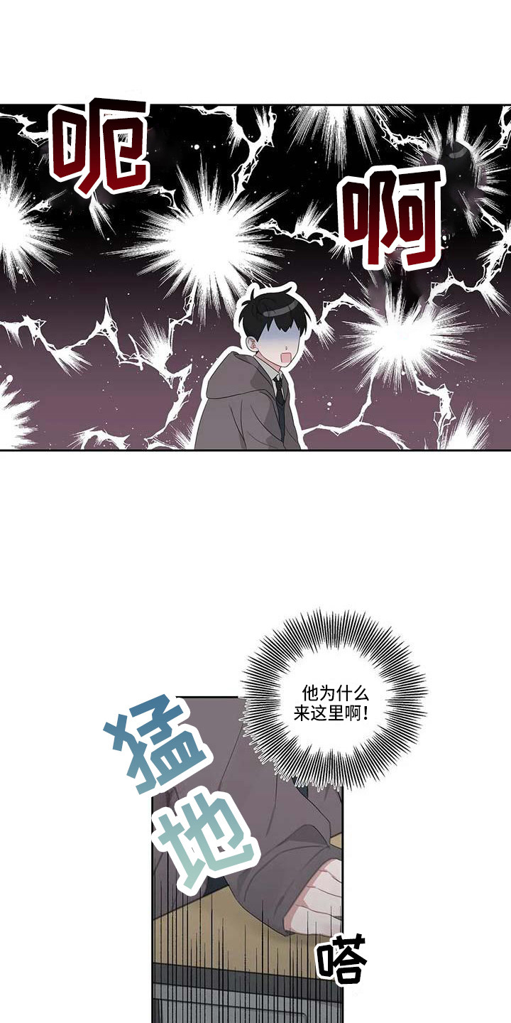 运势当头漫画,第8章：联系方式5图