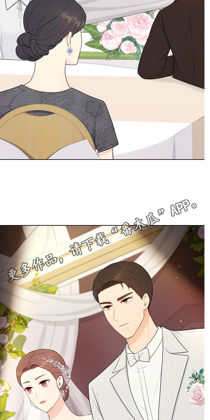 利益联姻新剧漫画,第18章：婚礼1图