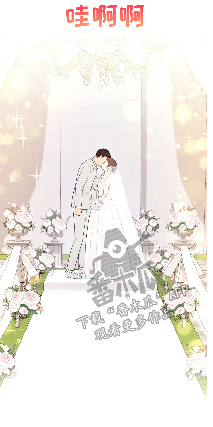 利益集团是指哪些人漫画,第18章：婚礼1图