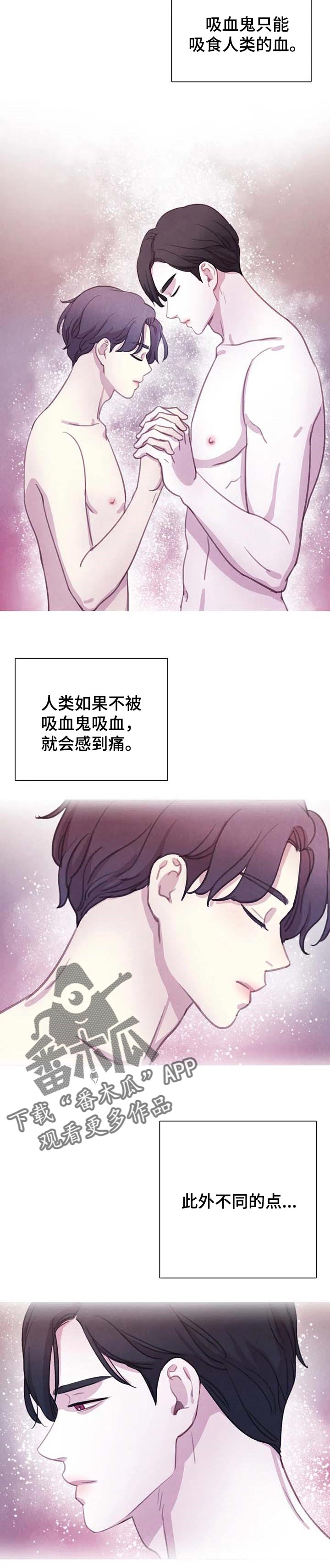 与血族共生漫画,第127章：【番外】你的问题更严重5图