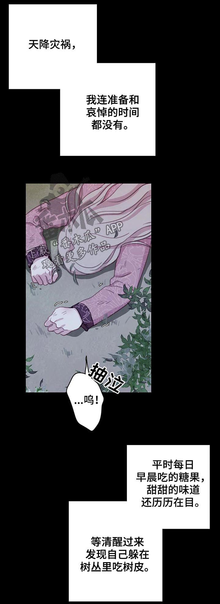 与血族共生一口气看完漫画,第81章：【第二季】往事2图