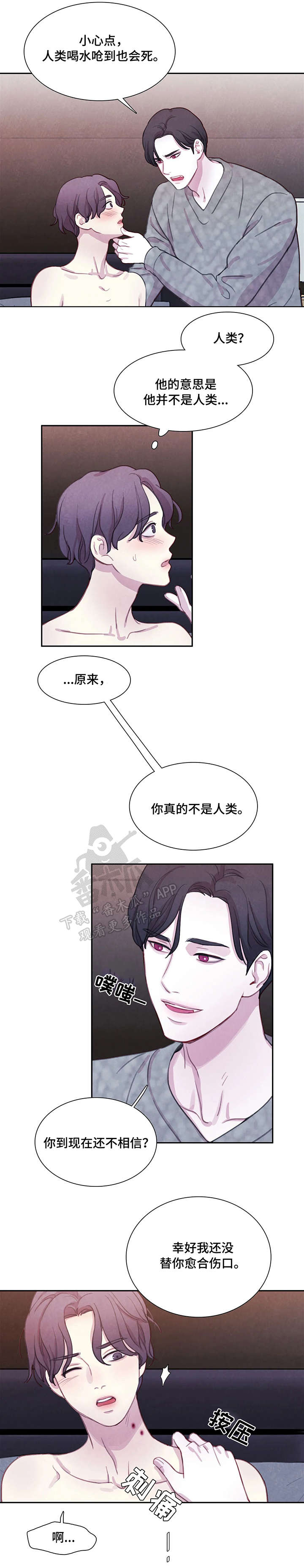 与血族共生漫画,第16章：解释3图