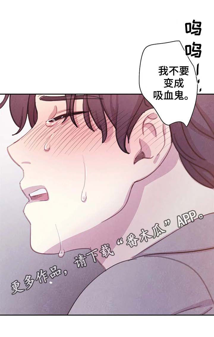 与血族共生漫画,第59章：更加的绝望（第一季完结）1图